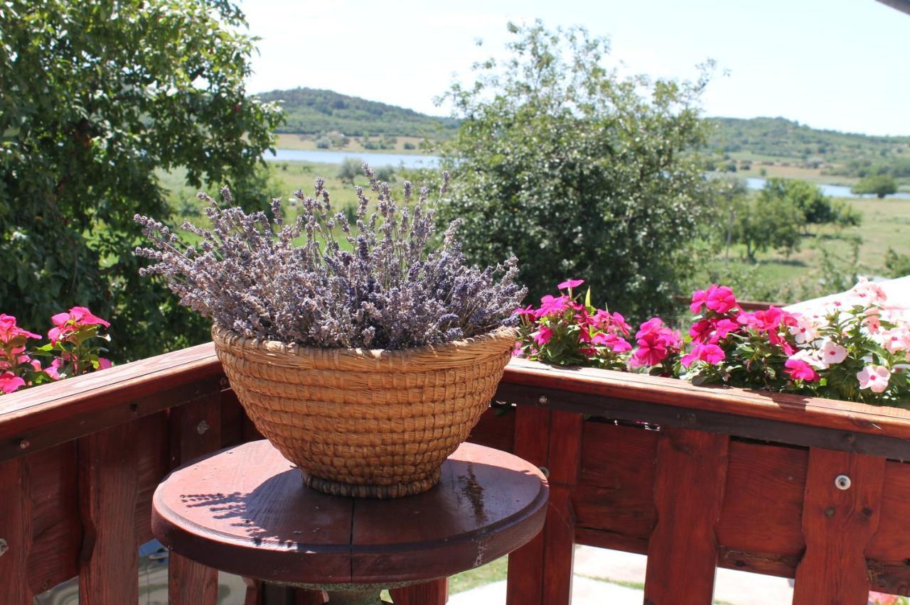 Apartman Nikol Daire Tihany Oda fotoğraf